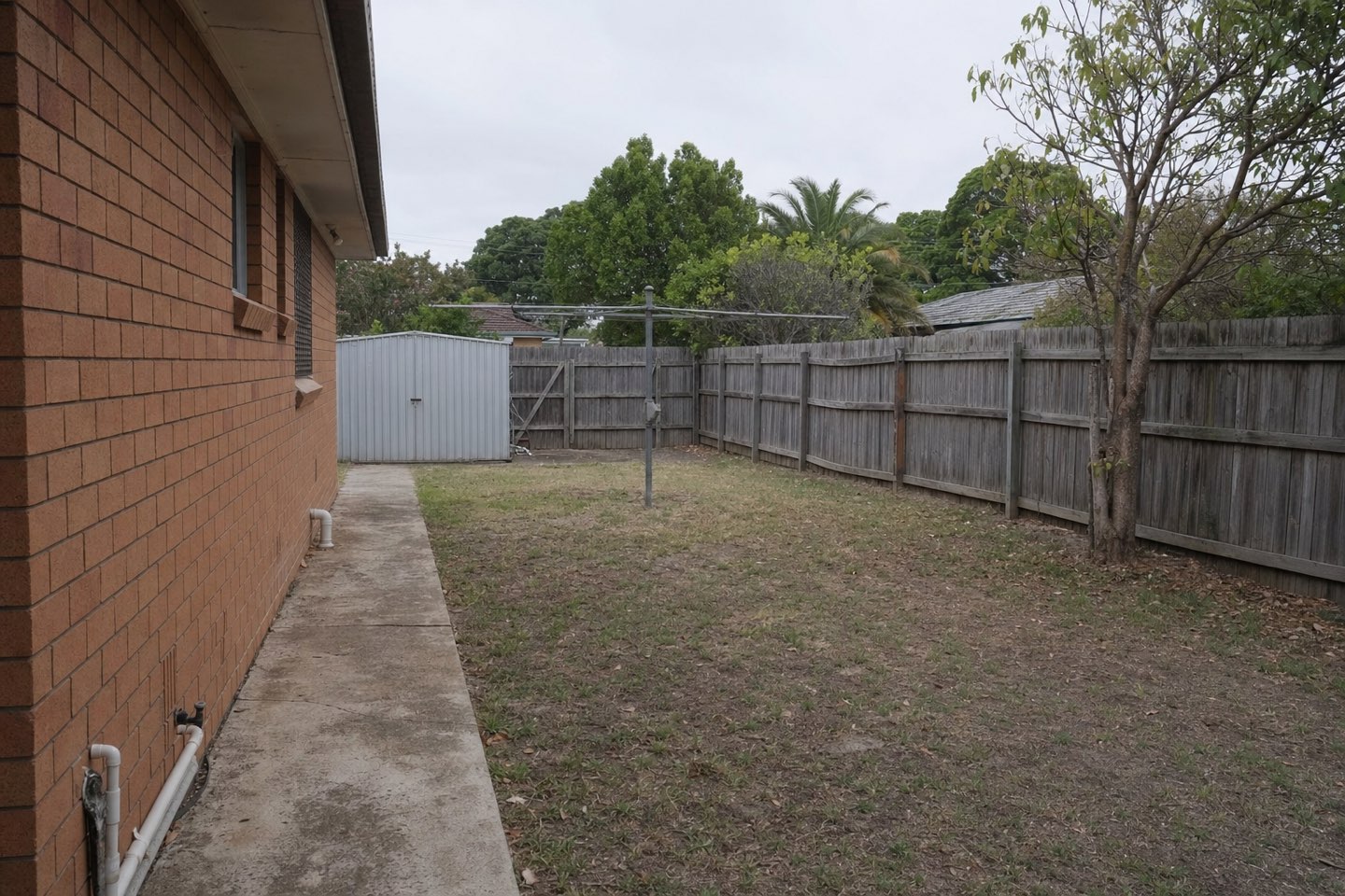 A tired Brisbane backyard before its pool